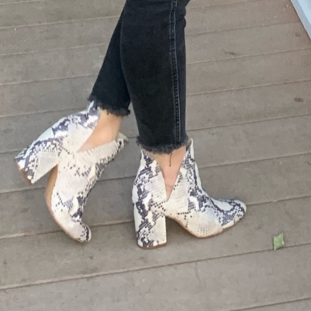 Steve Madden Snake skin booties 6.5